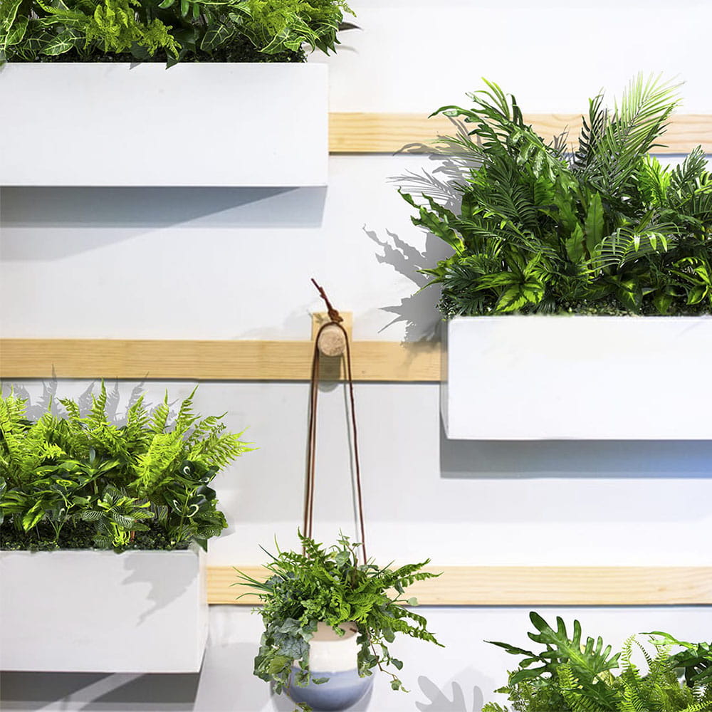 Plantes en pot de mouette – Green Designers