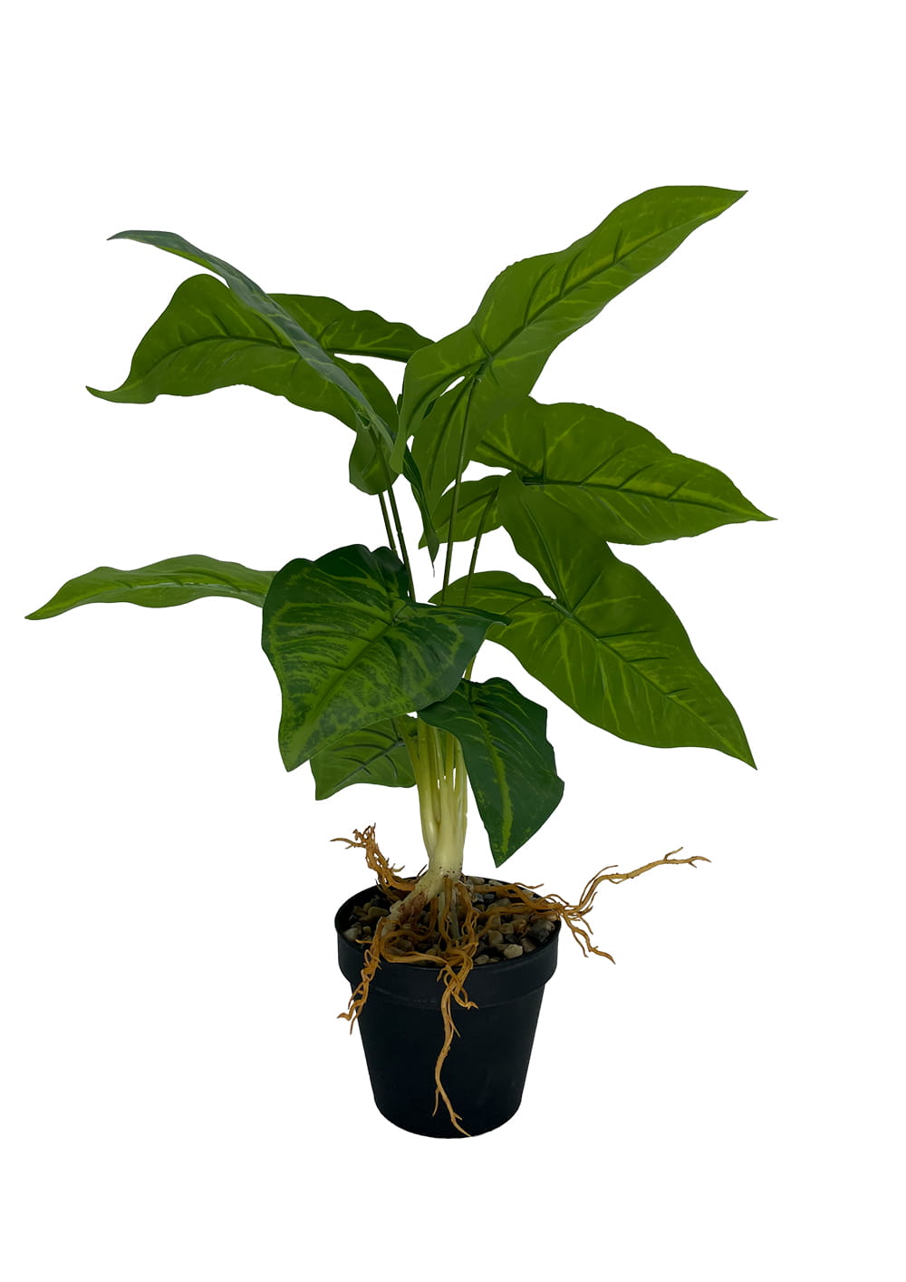 Plante Syngonium artificielle 50 cm