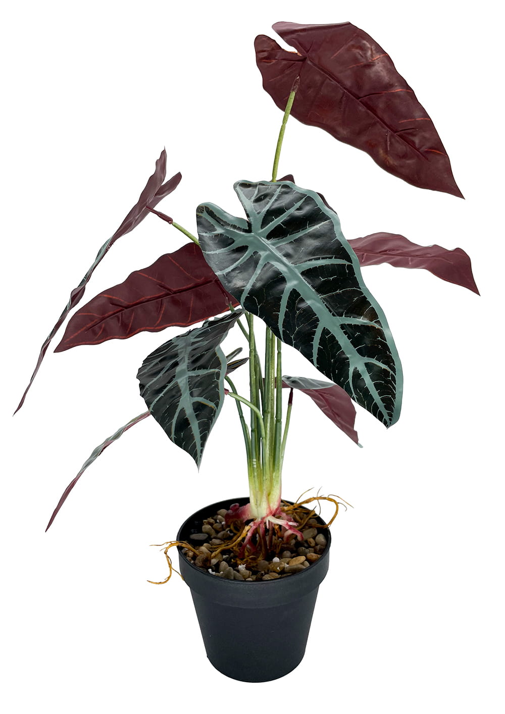 Plante artificielle Alocasia 47 cm – Green Designers