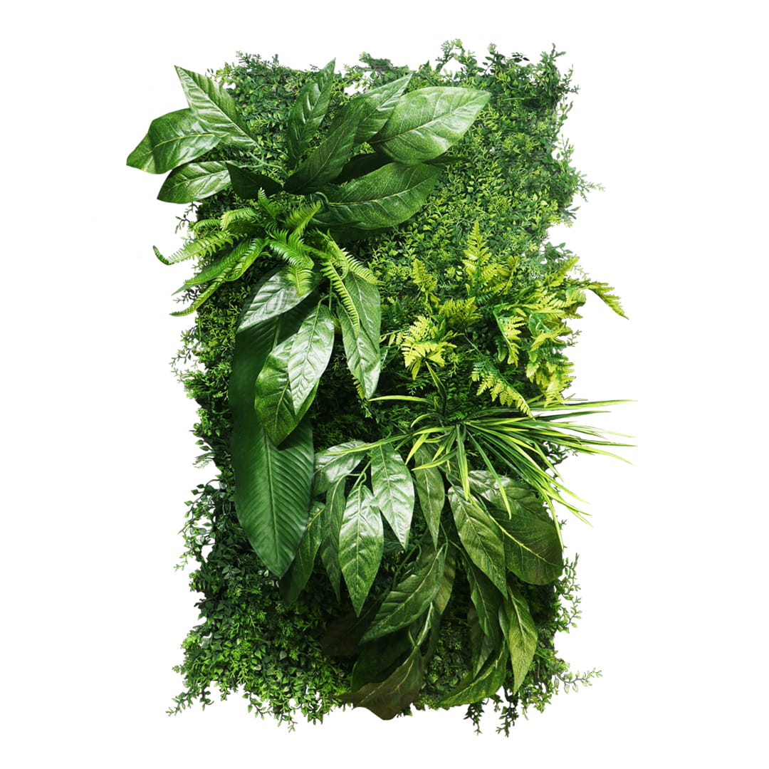 Jardin vertical de la Jamaïque – Green Designers