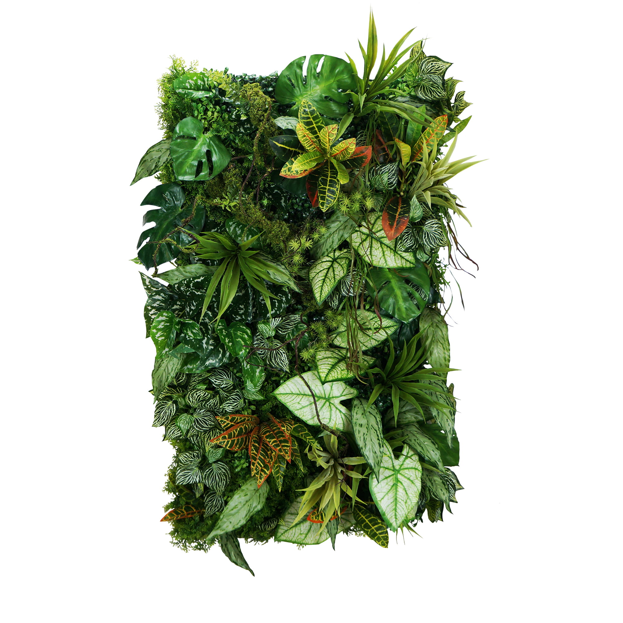 Jardin vertical Mayan Ray – Green Designers