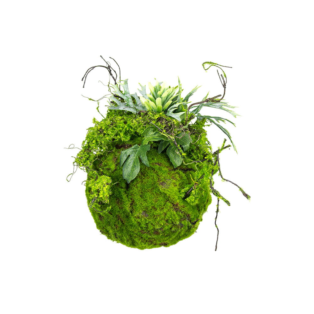 Boule de mousse kokedama 25 cm