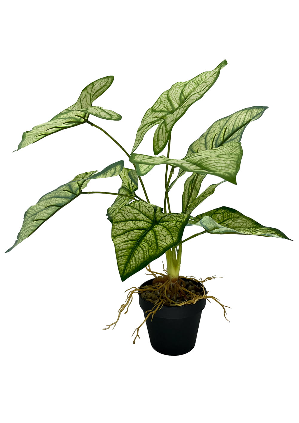 Plante Syngonium artificielle 54 cm – Green Designers