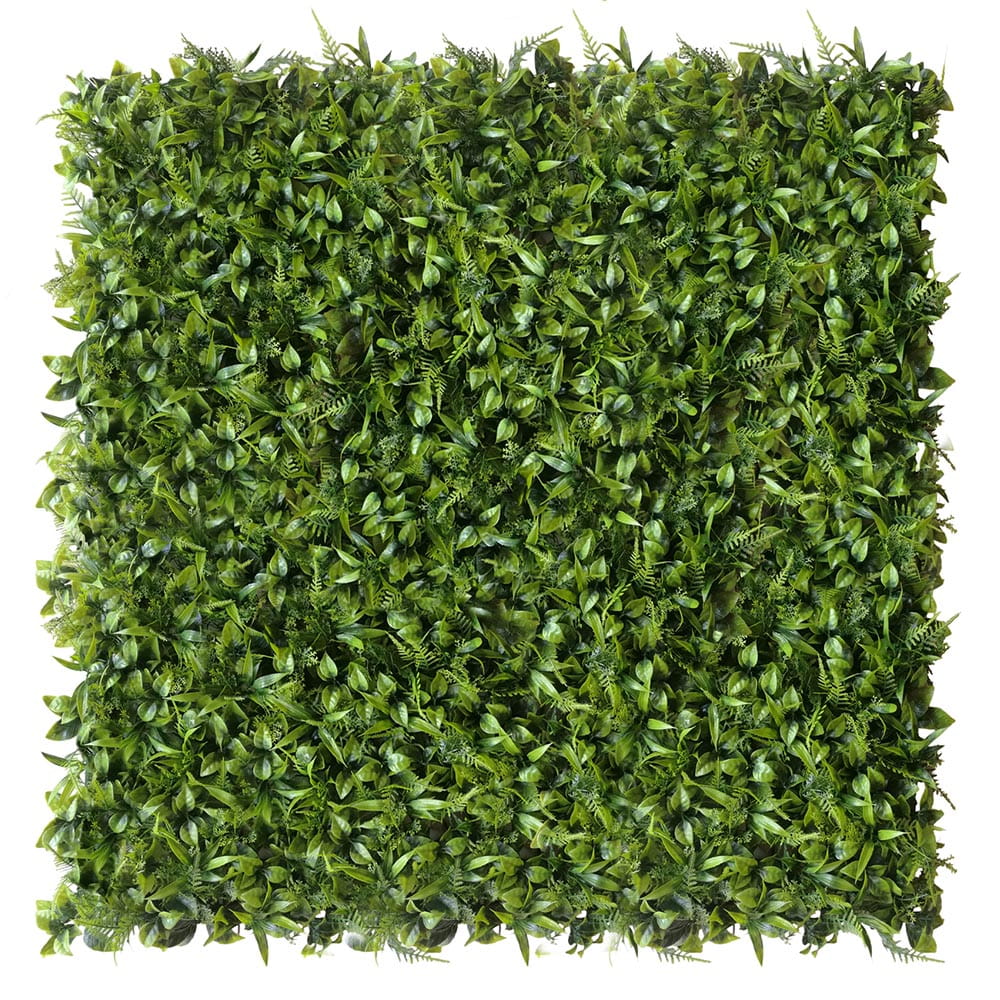 Mur végétal Peperomia 50x50cm – Green Designers