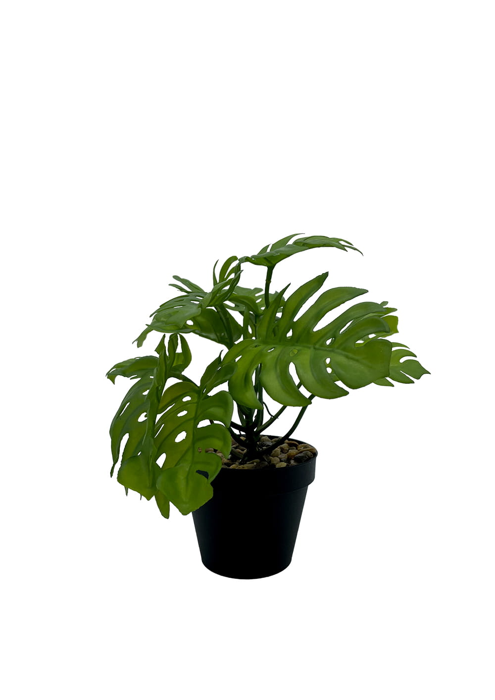 Plante Monstera artificielle 20 cm – Green Designers