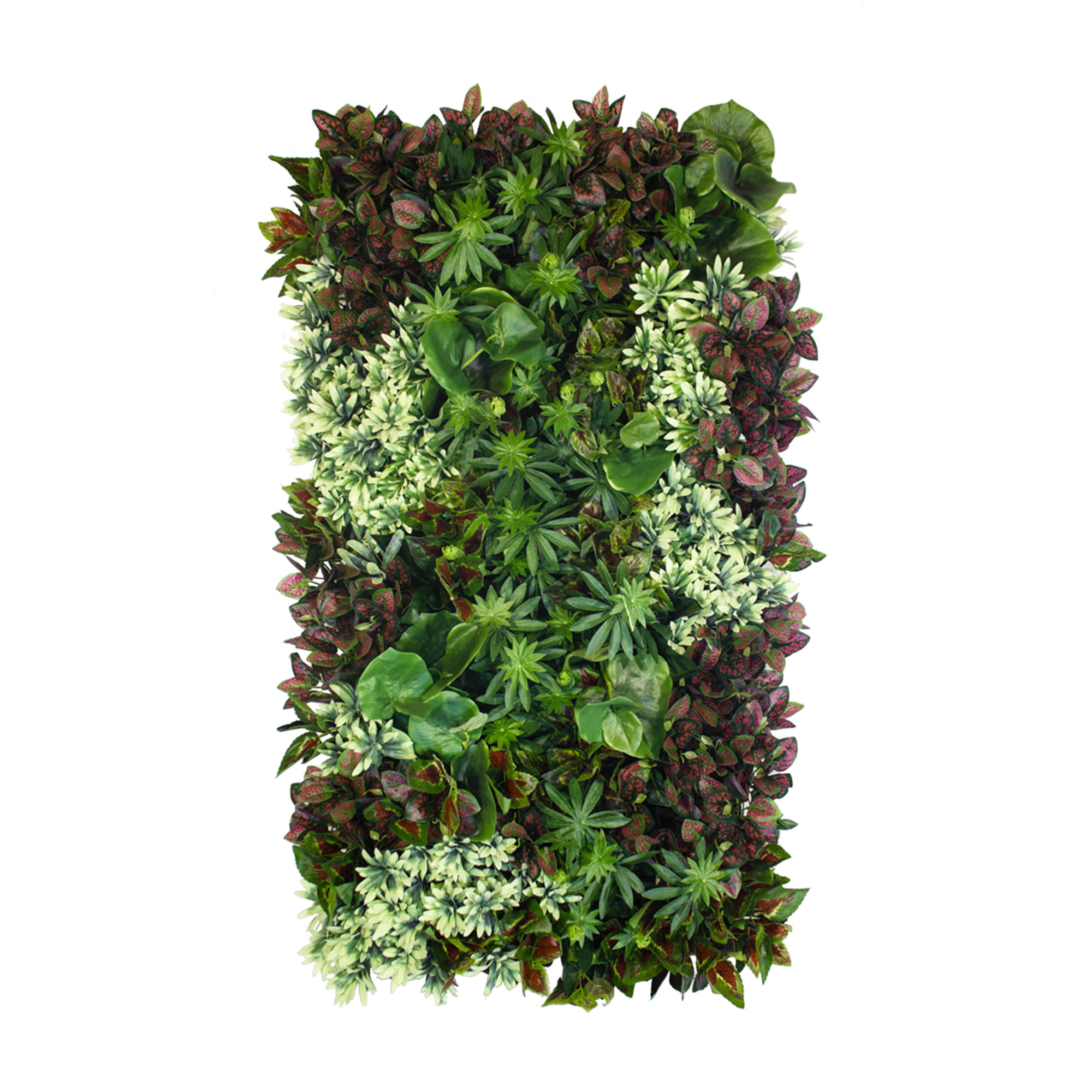 Jardin vertical toundra – Green Designers