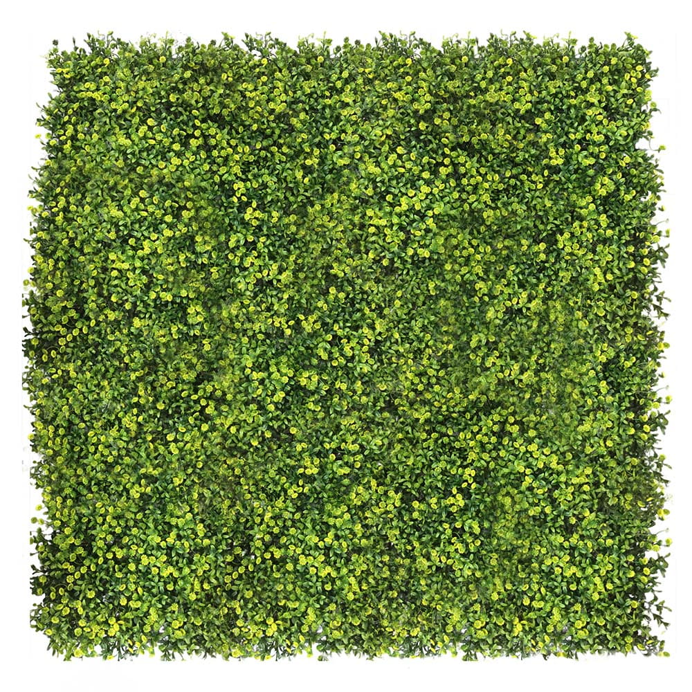 Mur végétal Grain 50x50cm – Green Designers