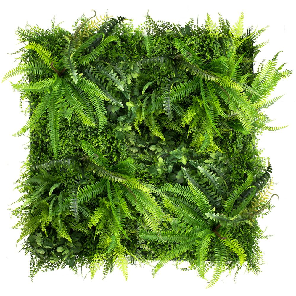 Jardin vertical de fougère sauvage – Green Designers