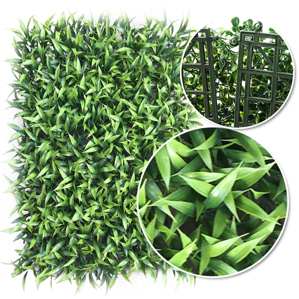 Mur végétal Celozja 40x60cm – Green Designers