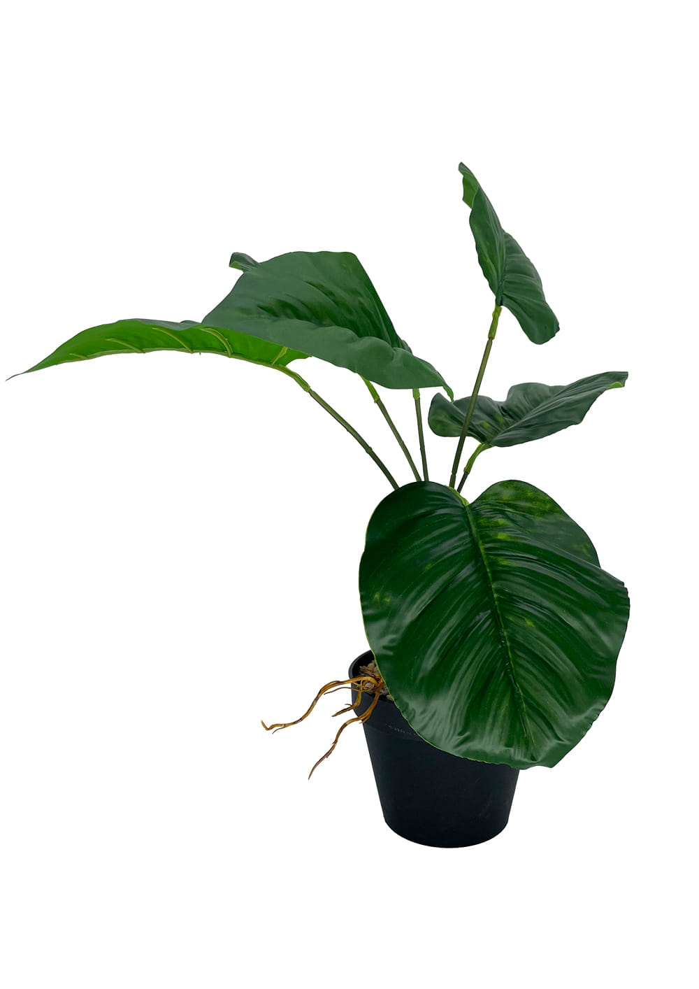 Plante d'arrow-root artificielle 36 cm – Green Designers