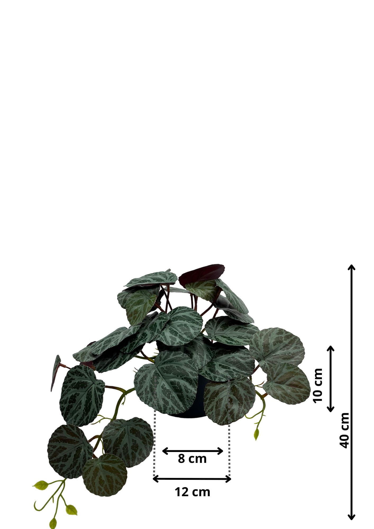 Plante Pilea artificielle 40 cm – Green Designers