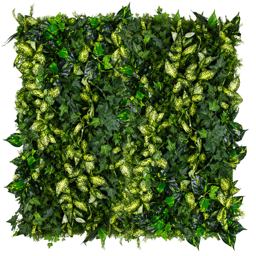 Jardin vertical de lierre cultivé – Green Designers