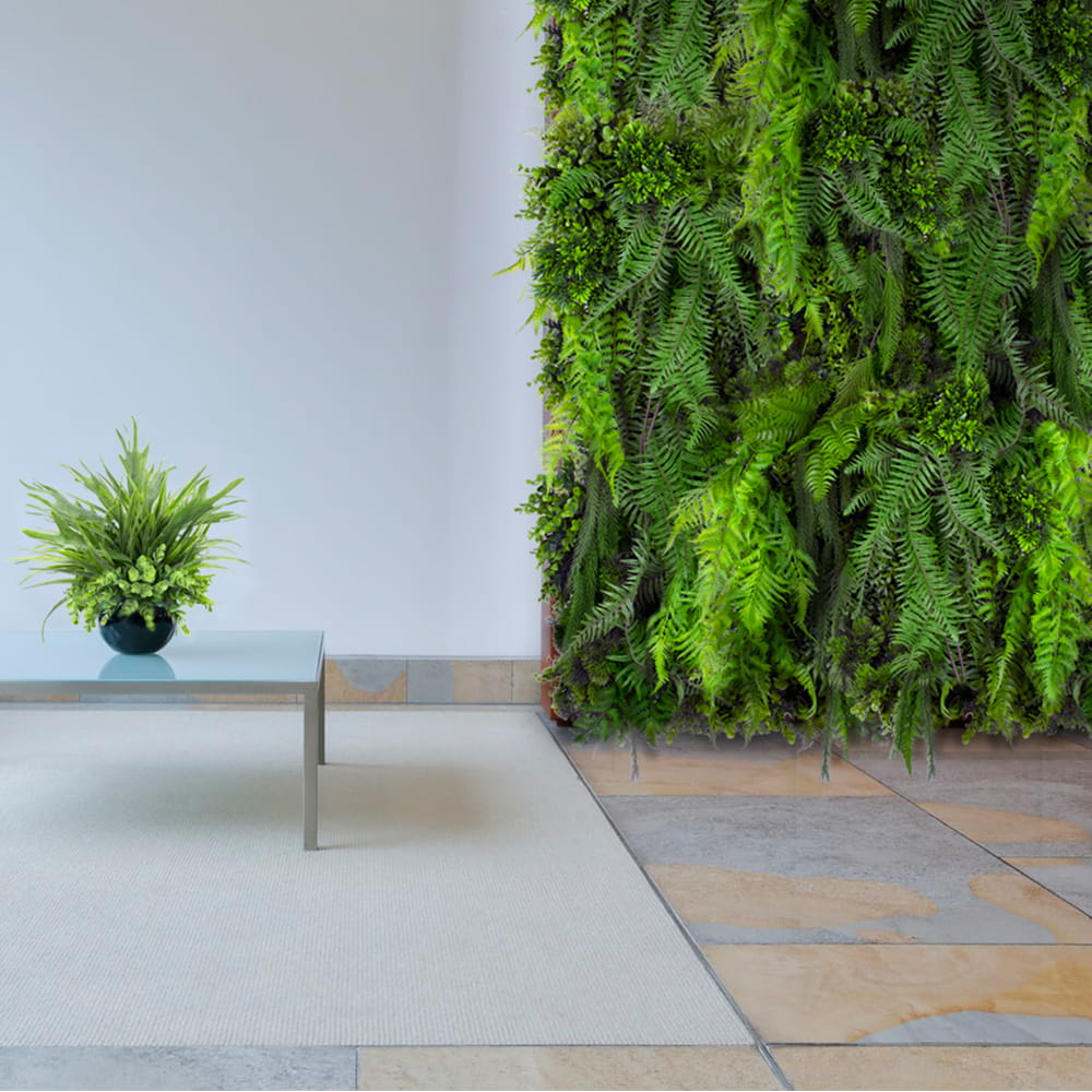 Jardin vertical Fougère Cascade – Green Designers
