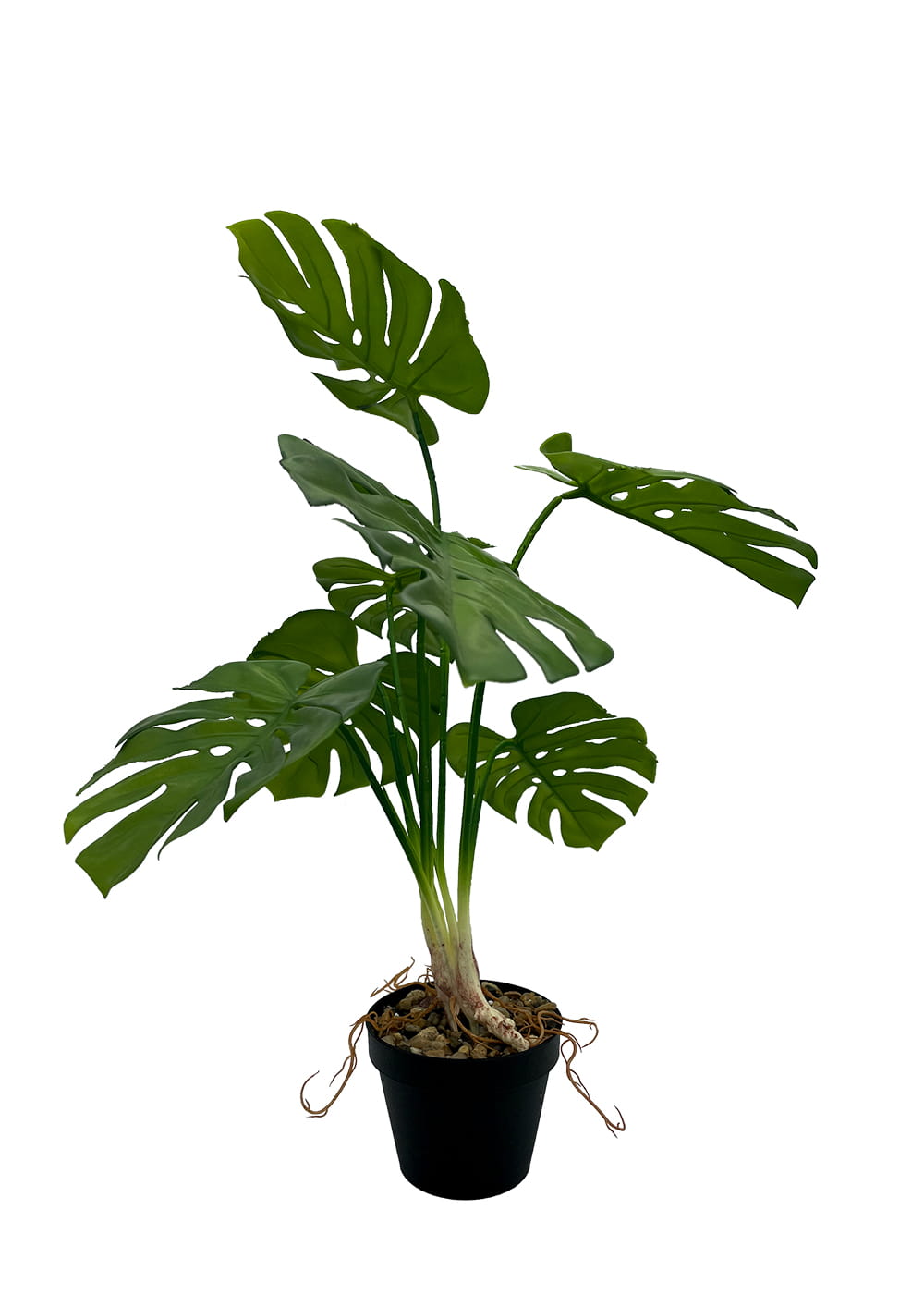 Plante Monstera artificielle 65 cm – Green Designers