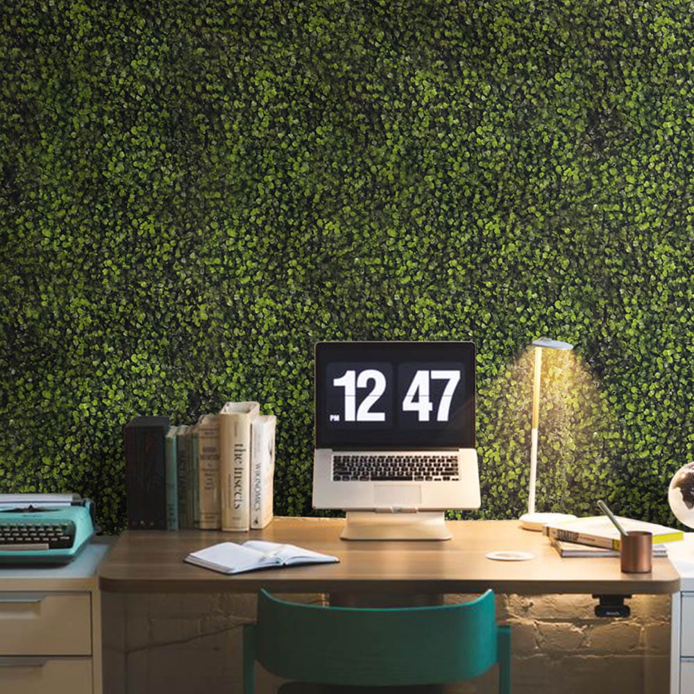 Mur végétal Buis 50x50cm – Green Designers