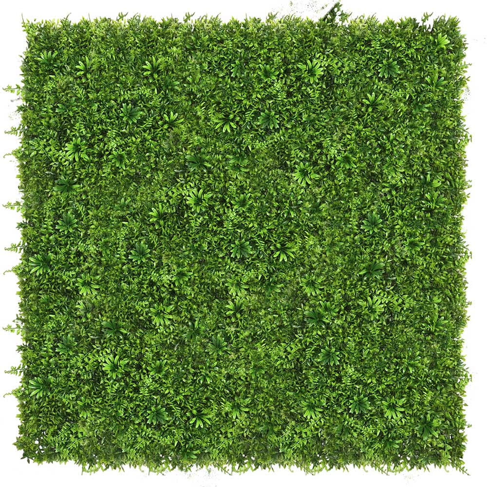 Mur végétal Passiflore 50x50cm – Green Designers