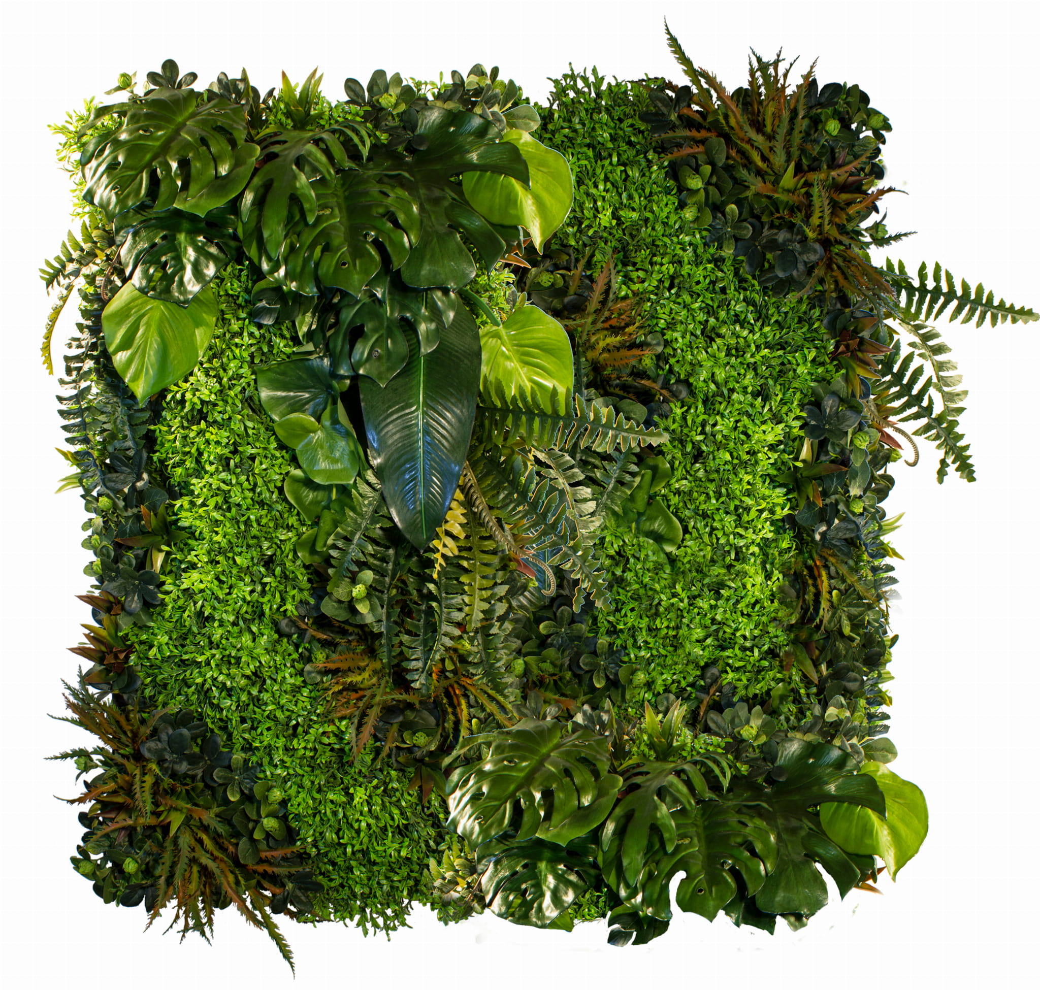 Jardin vertical du buisson botanique – Green Designers