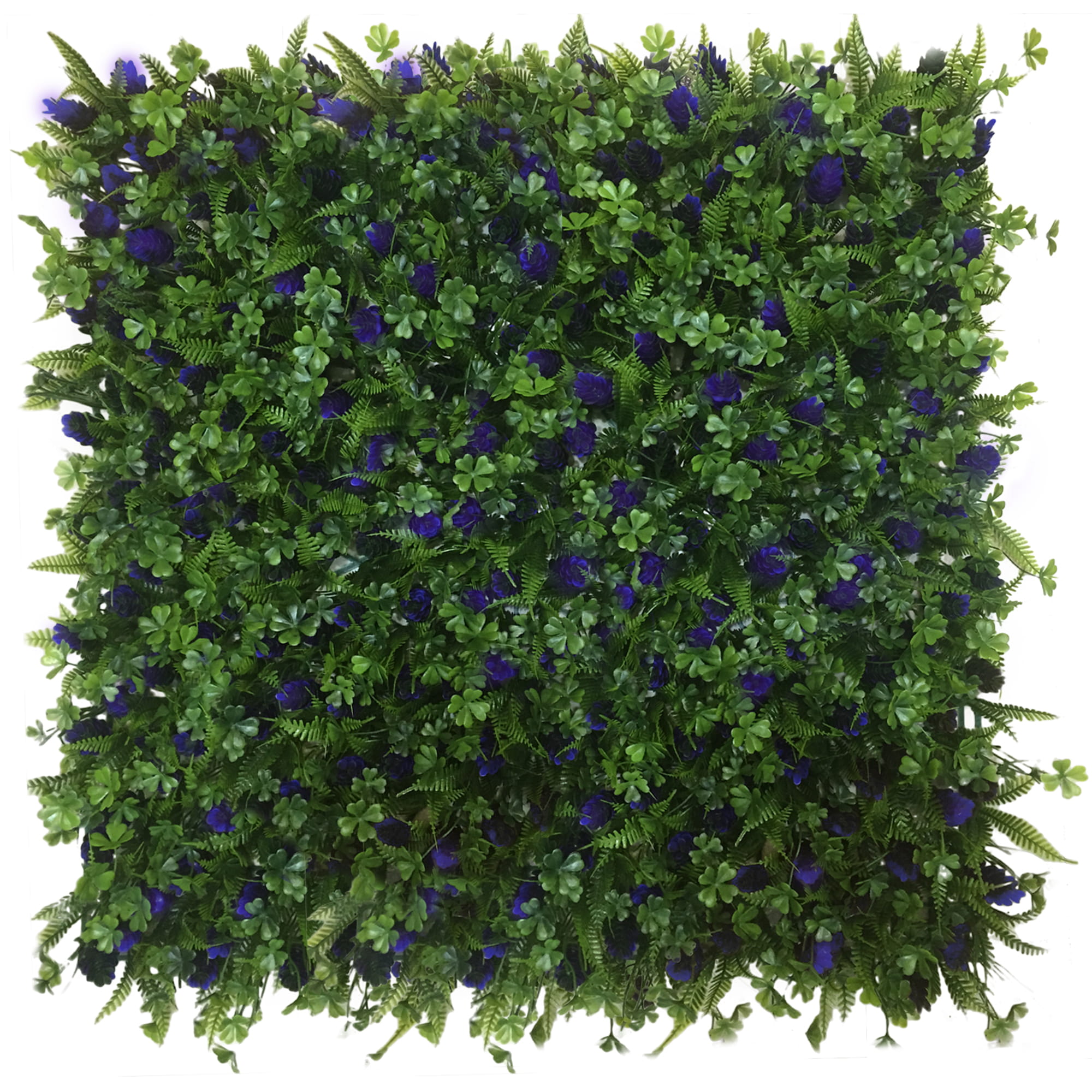 Mur végétal Glycine 50x50cm