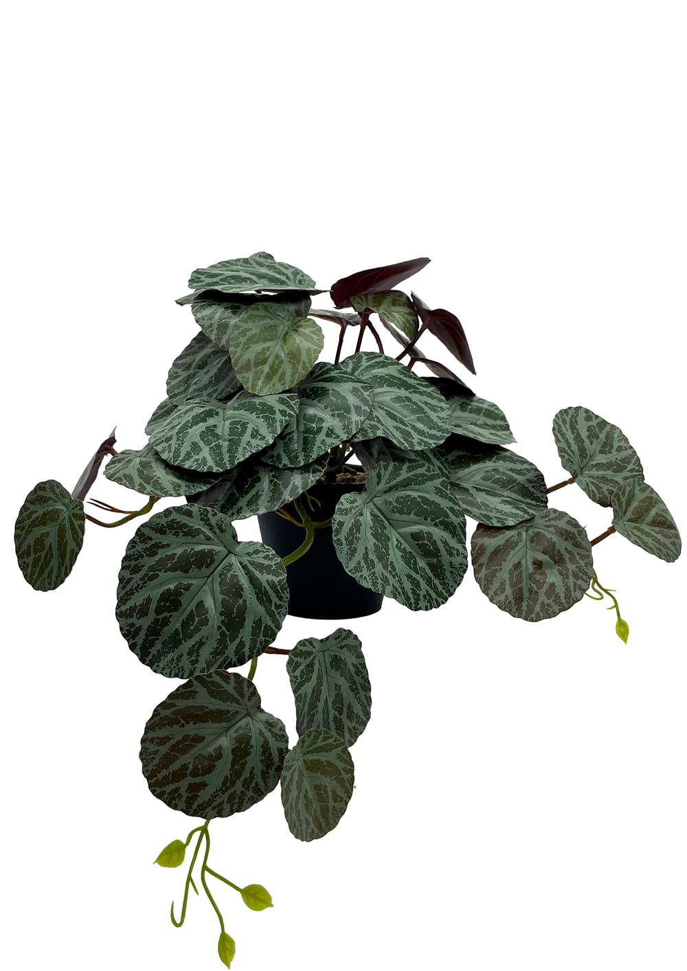 Plante Pilea artificielle 40 cm – Green Designers