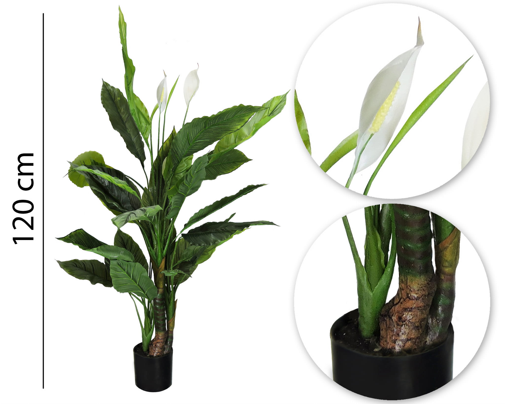 Plante décorative Spathiphyllum 120 cm – Green Designers