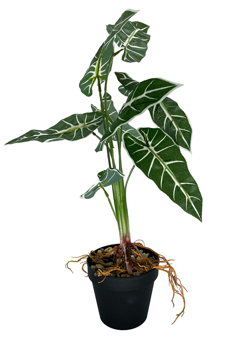 Plante artificielle Alocasia Amazonica 58 cm