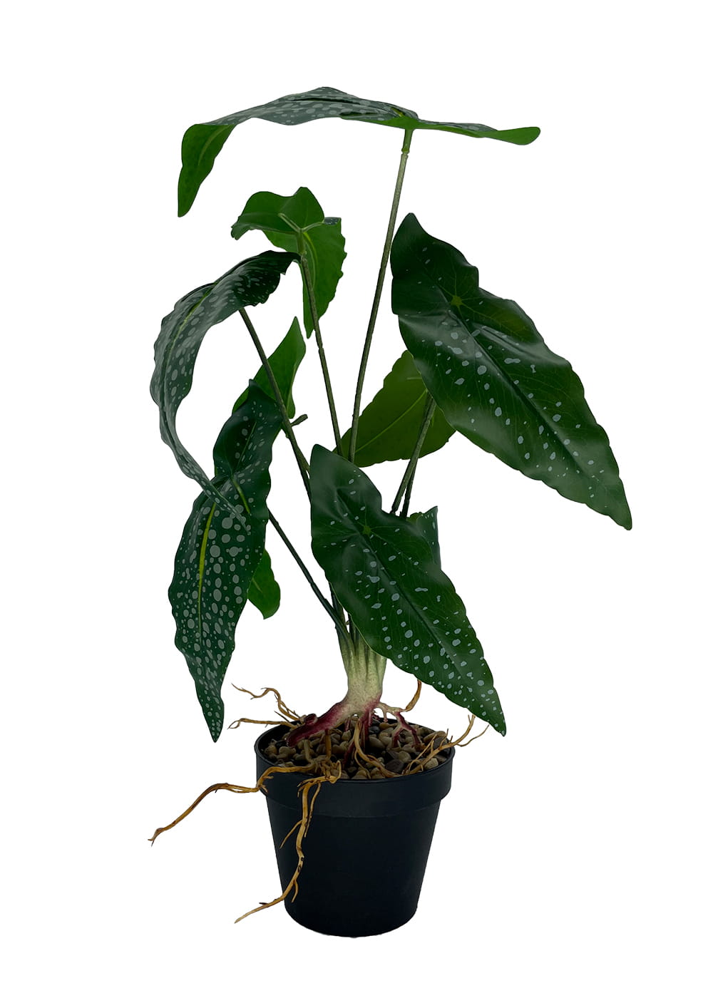 Plante Bégonia artificielle 35 cm – Green Designers