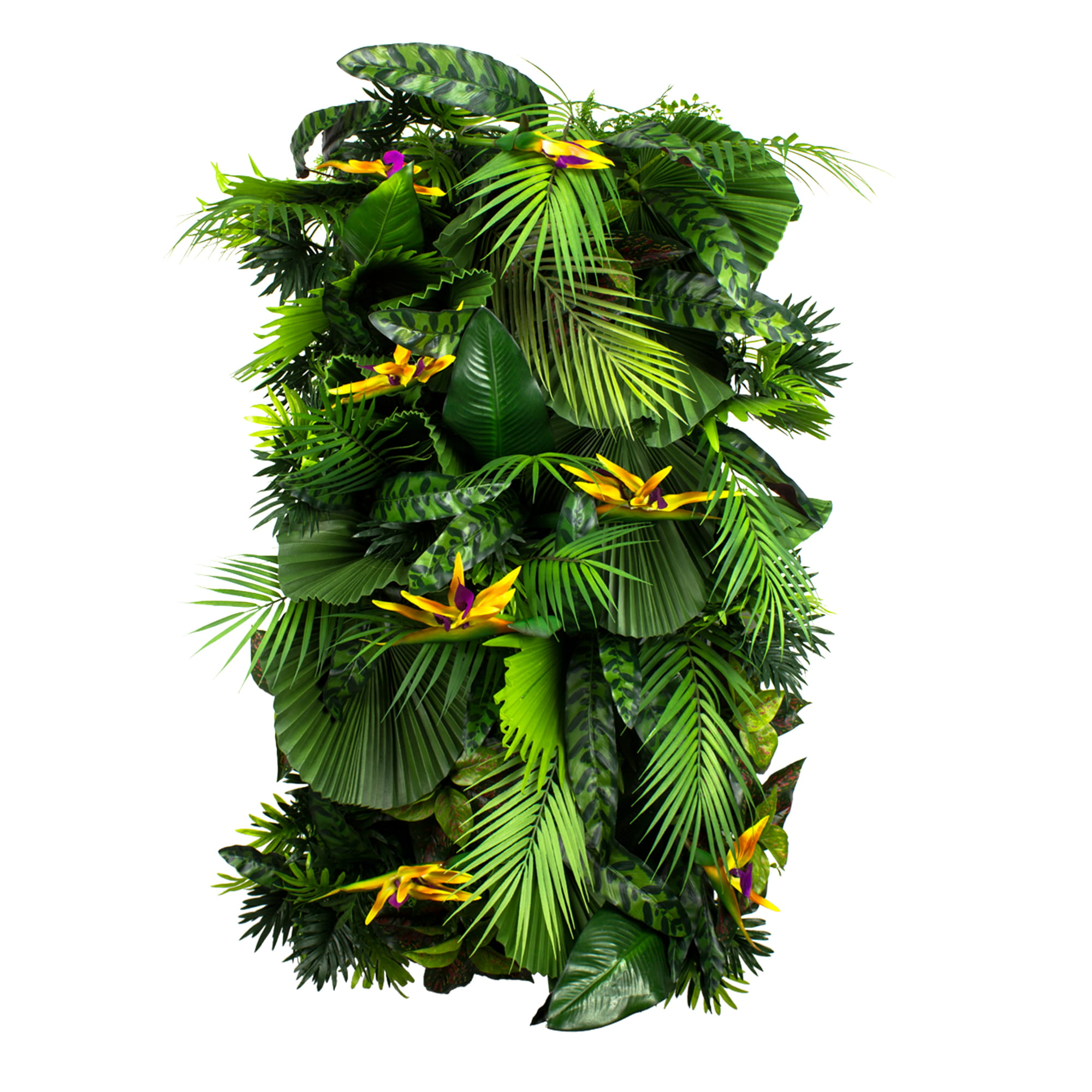 Jardin vertical Exotic Vibe – Green Designers