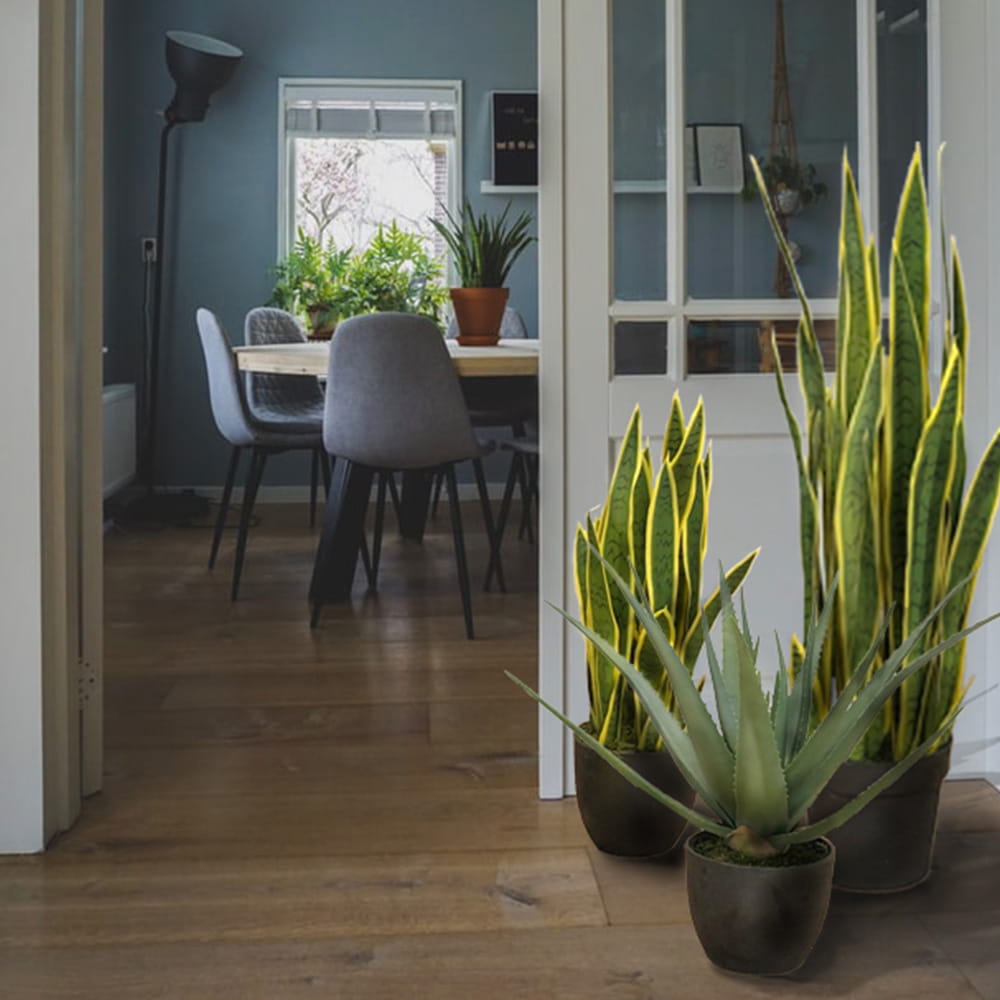 Plante artificielle Sansevieria Laurentii 90 cm – Green Designers