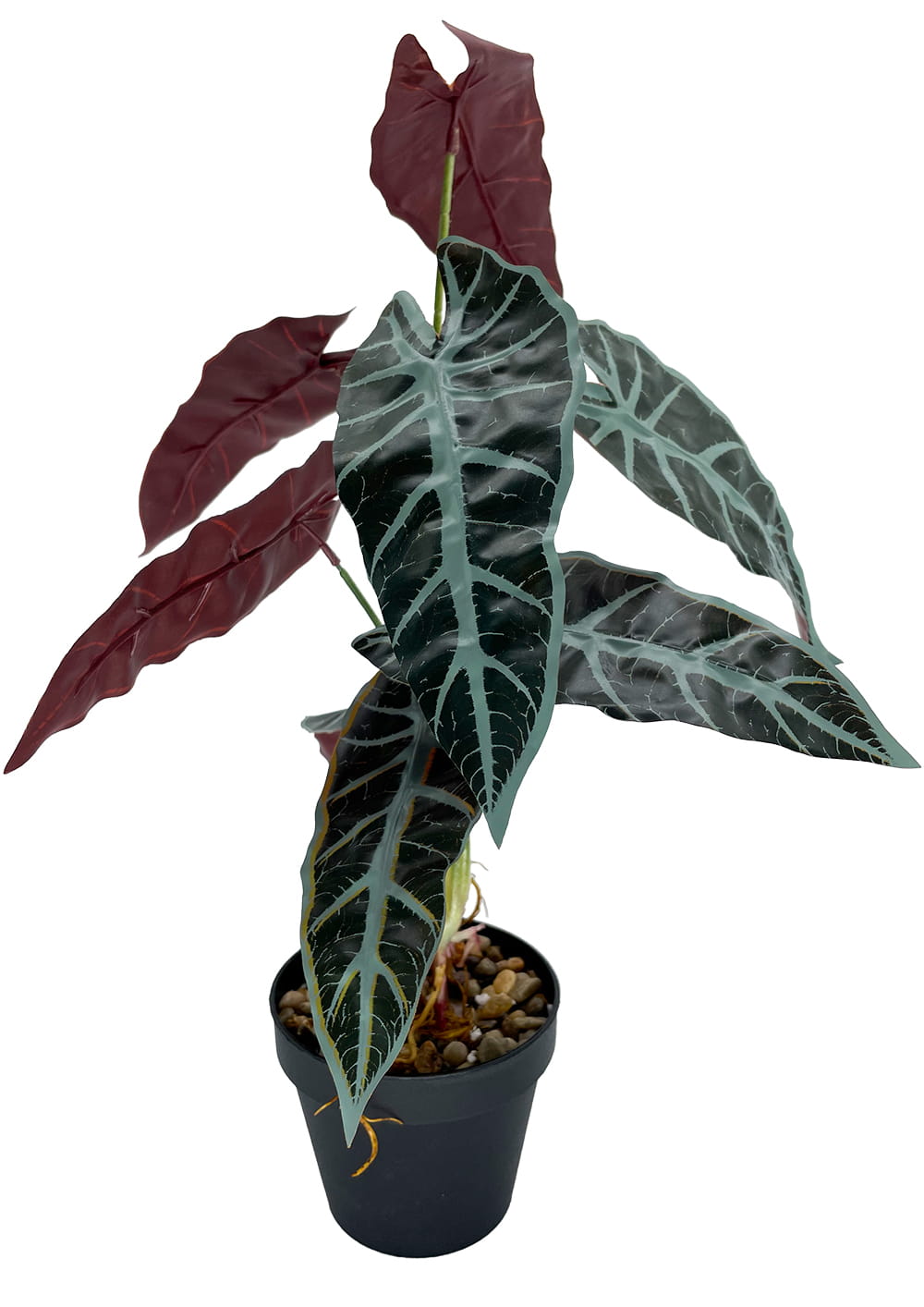 Plante artificielle Alocasia 47 cm – Green Designers