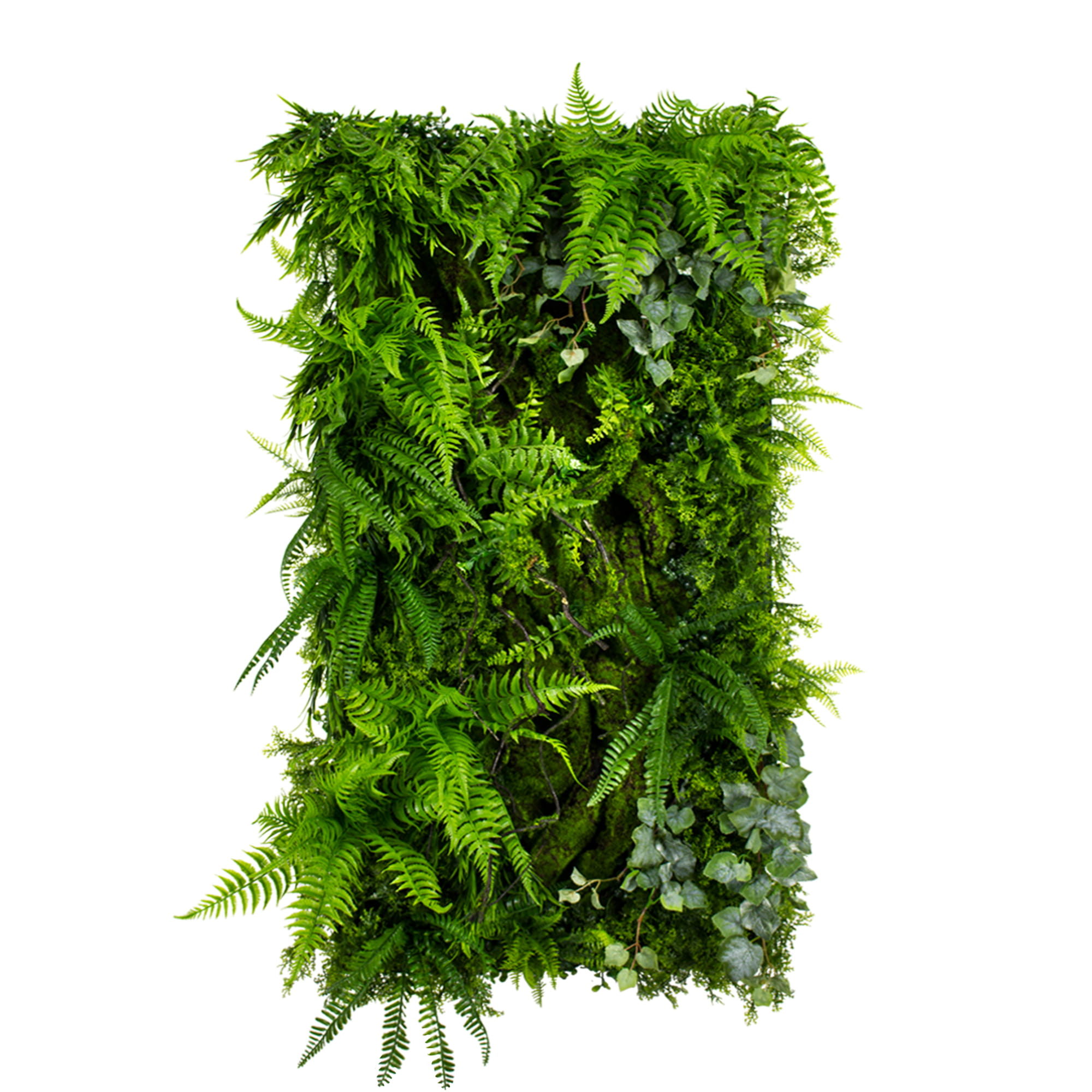 Jardin vertical à frondes feuillues