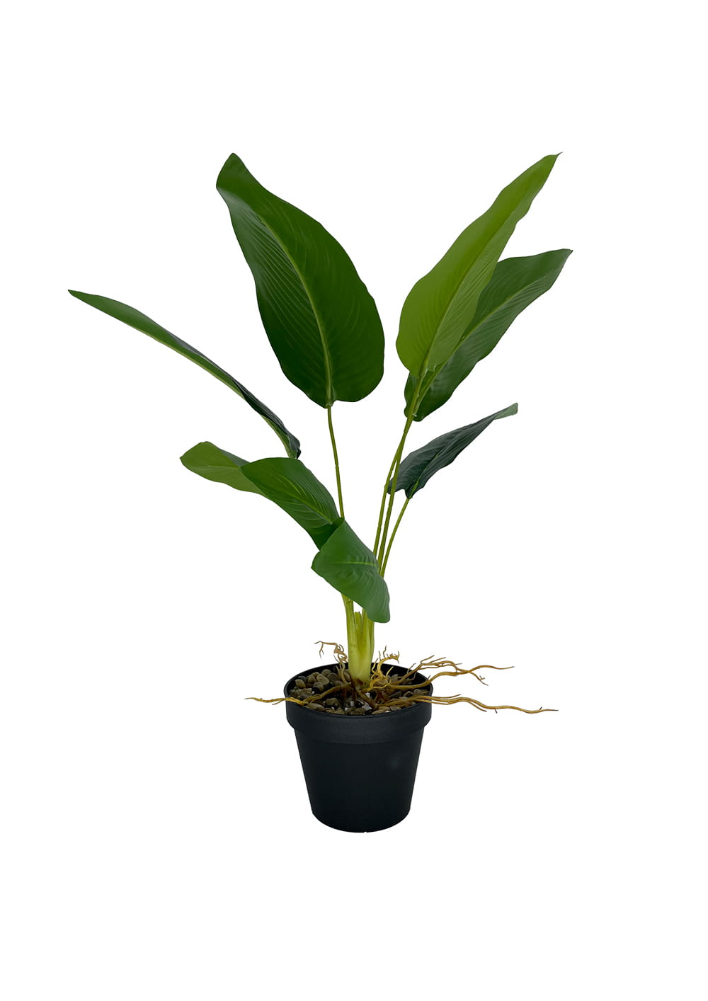 Bananier artificiel 55 cm – Green Designers
