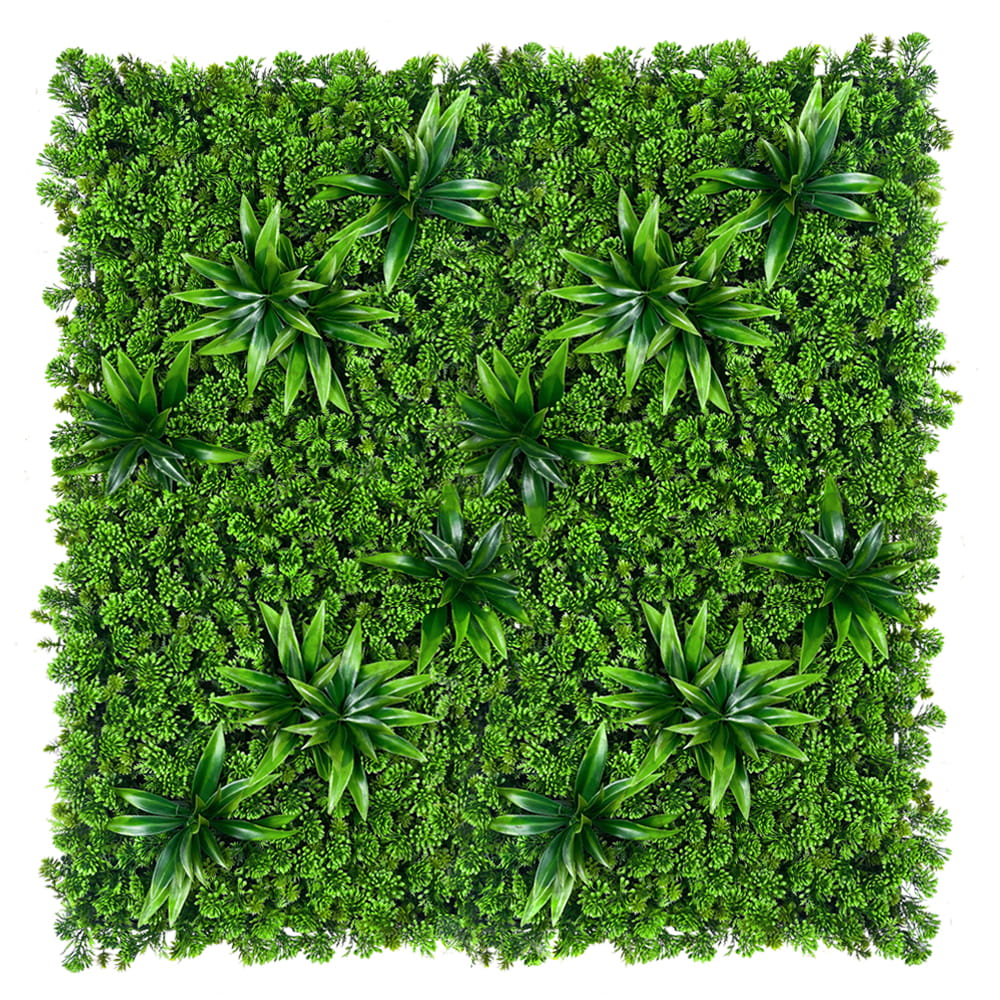 Mur végétal Succulent 50x50cm – Green Designers