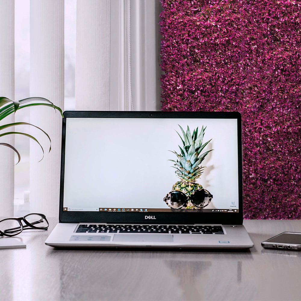 Mur de plantes Rose fuchsia 50x50cm – Green Designers