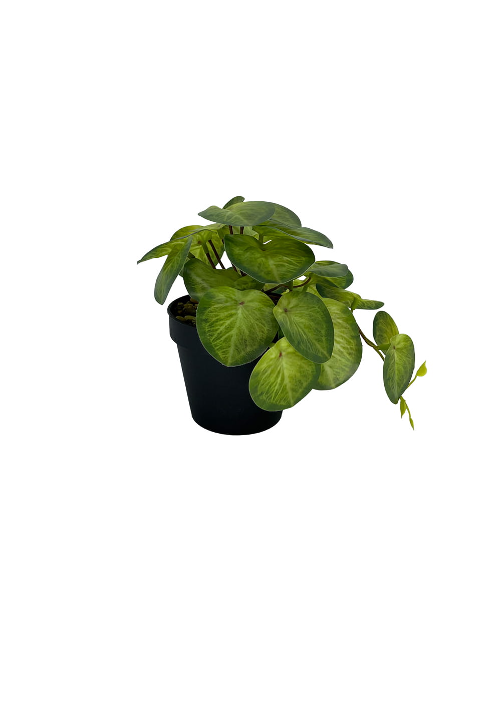Plante Pilea artificielle 19 cm – Green Designers