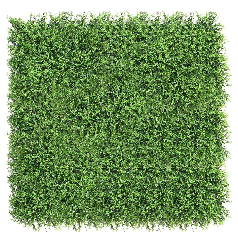 Mur végétal Gui 50x50cm – Green Designers