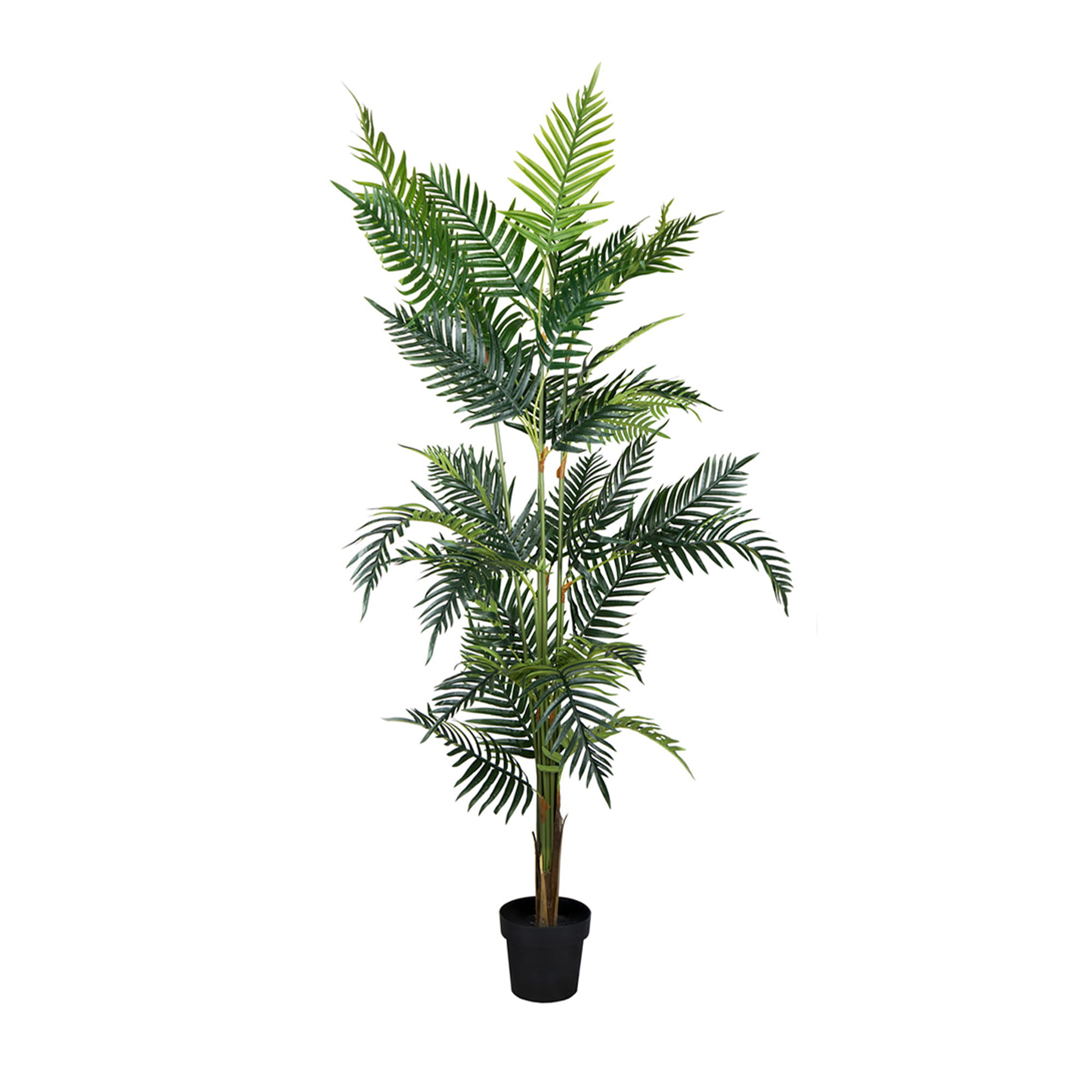 Plante décorative Palmier Lutescens 180 cm