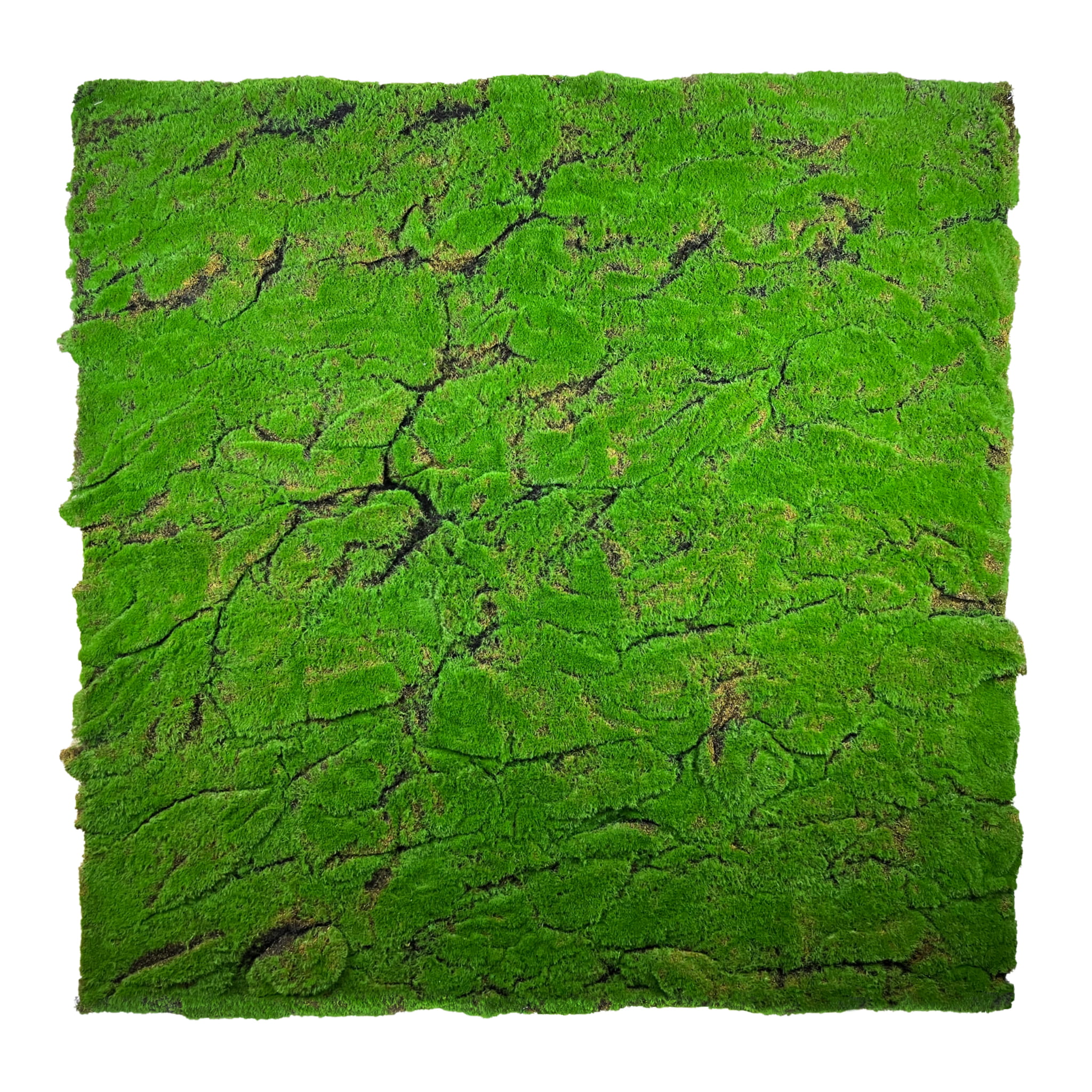 Mousse décorative artificielle 100x100cm - Vert clair