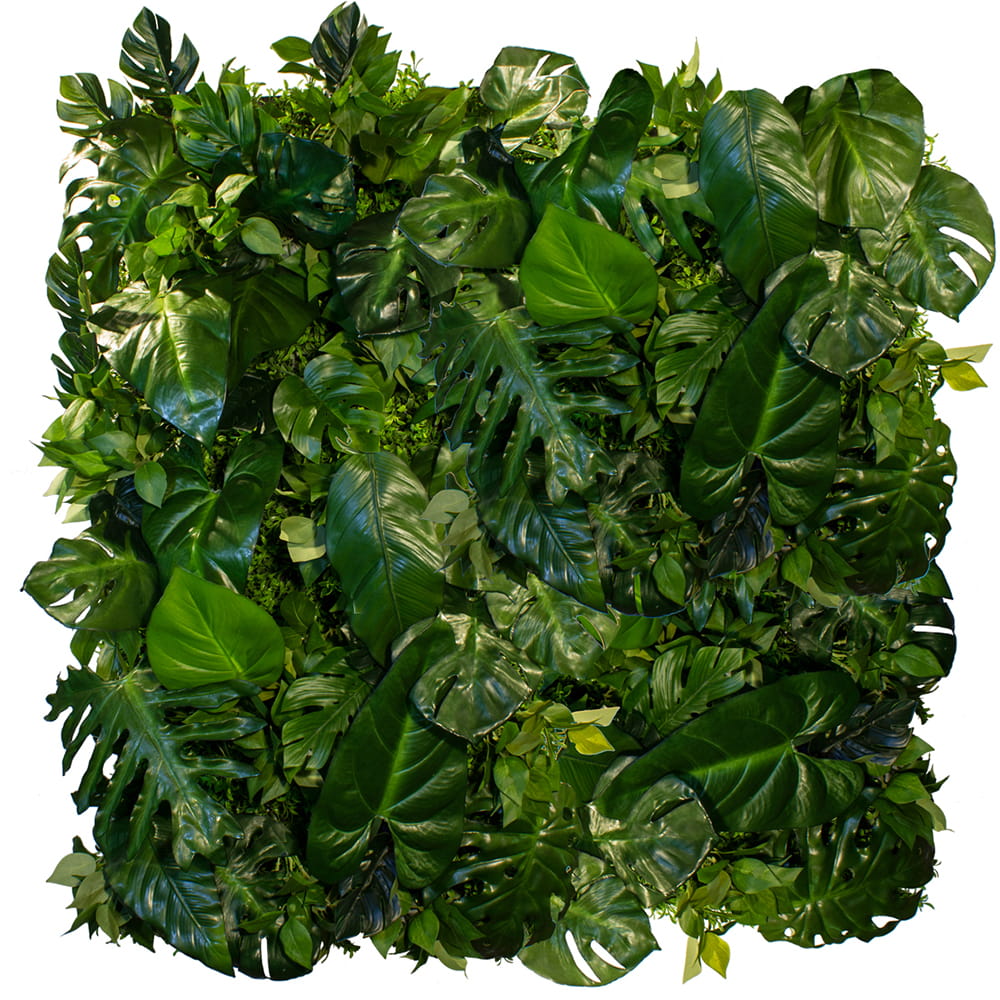 Jardin vertical de Coconut Island – Green Designers