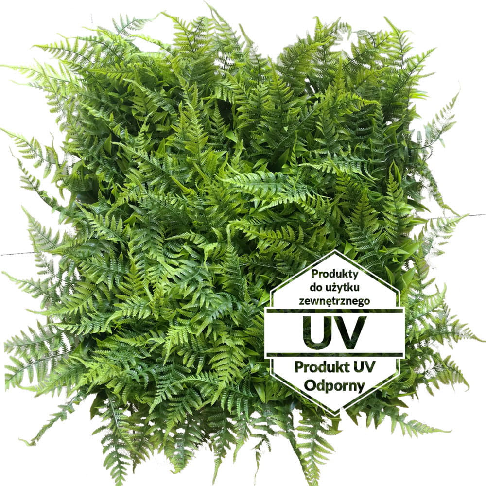 Tapis UV Adiantum vert artificiel 50x50cm