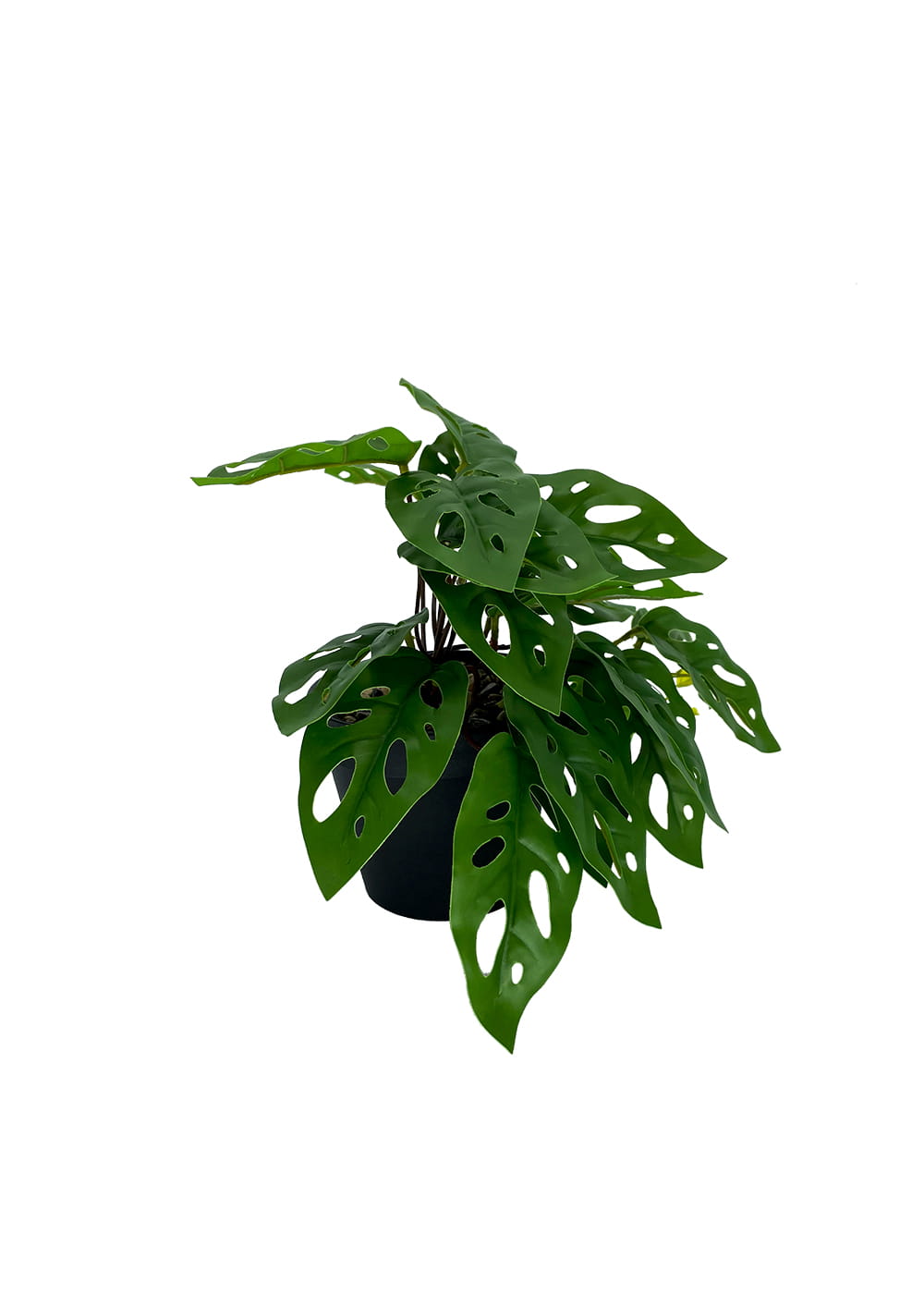 Plante artificielle Monstera Singe 25 cm – Green Designers
