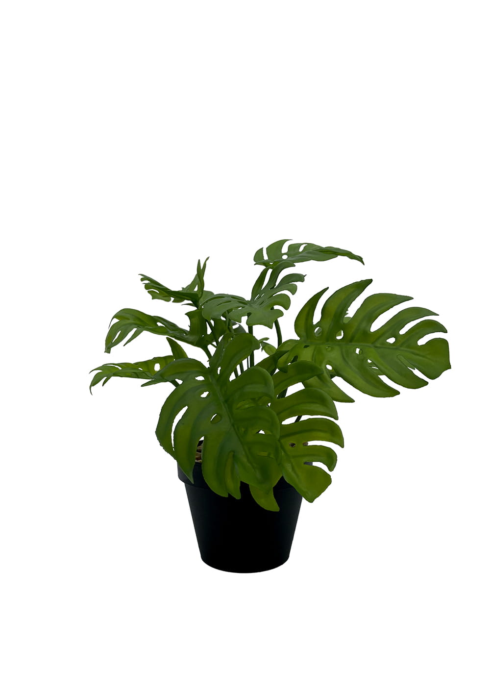 Plante Monstera artificielle 20 cm – Green Designers