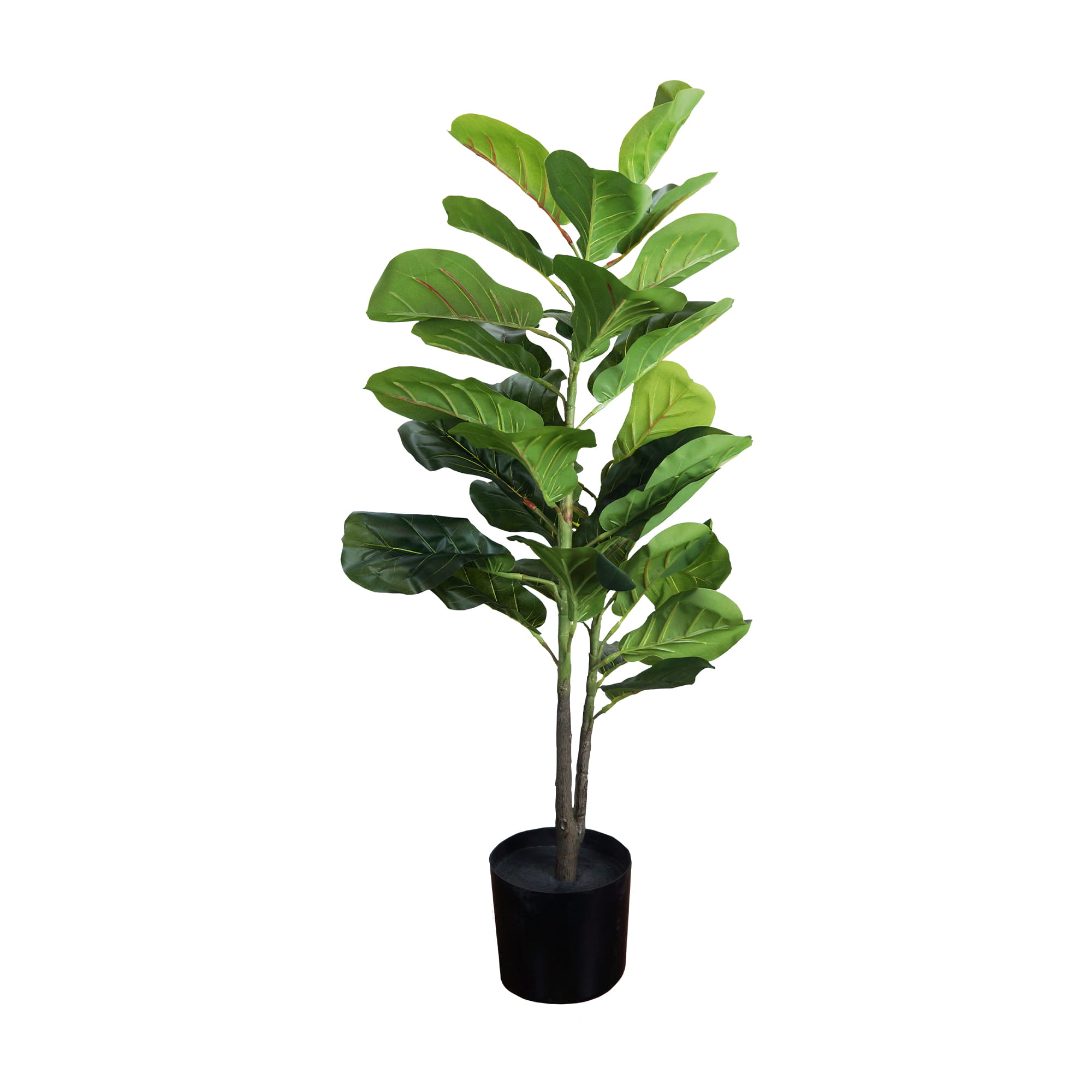 Plante décorative Ficus 90cm – Green Designers