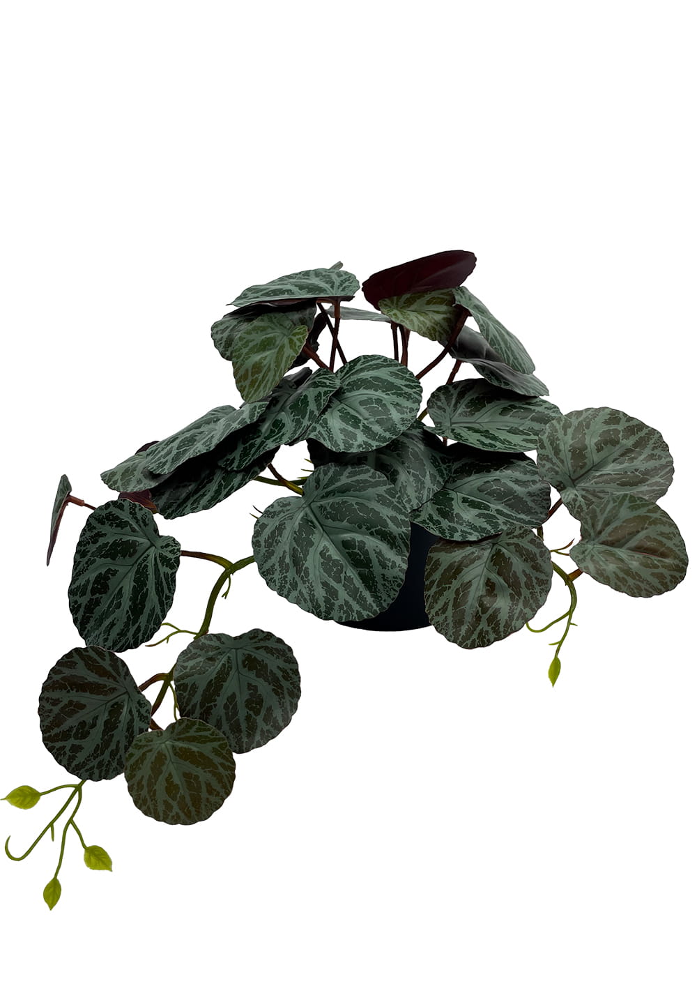Plante Pilea artificielle 40 cm
