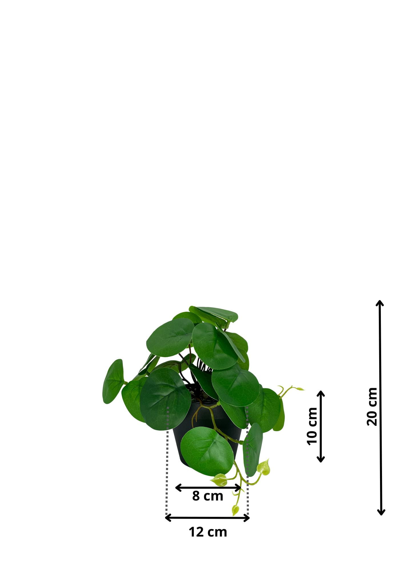 Plante Pilea artificielle 20 cm – Green Designers