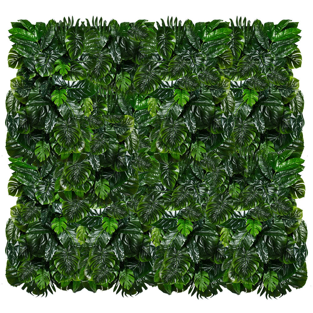 Jardin vertical Monstera Madness – Green Designers