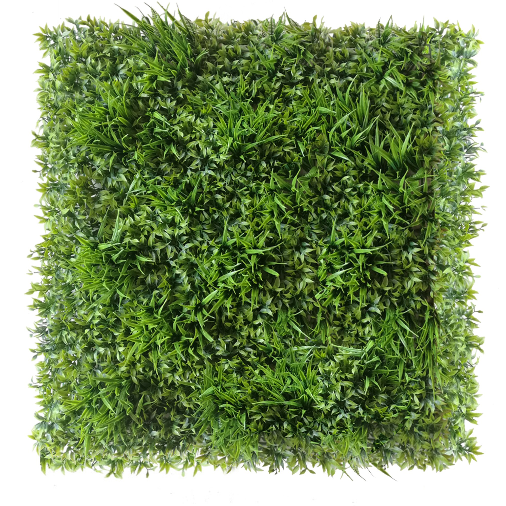 Mur végétal Ruskus 50x50cm