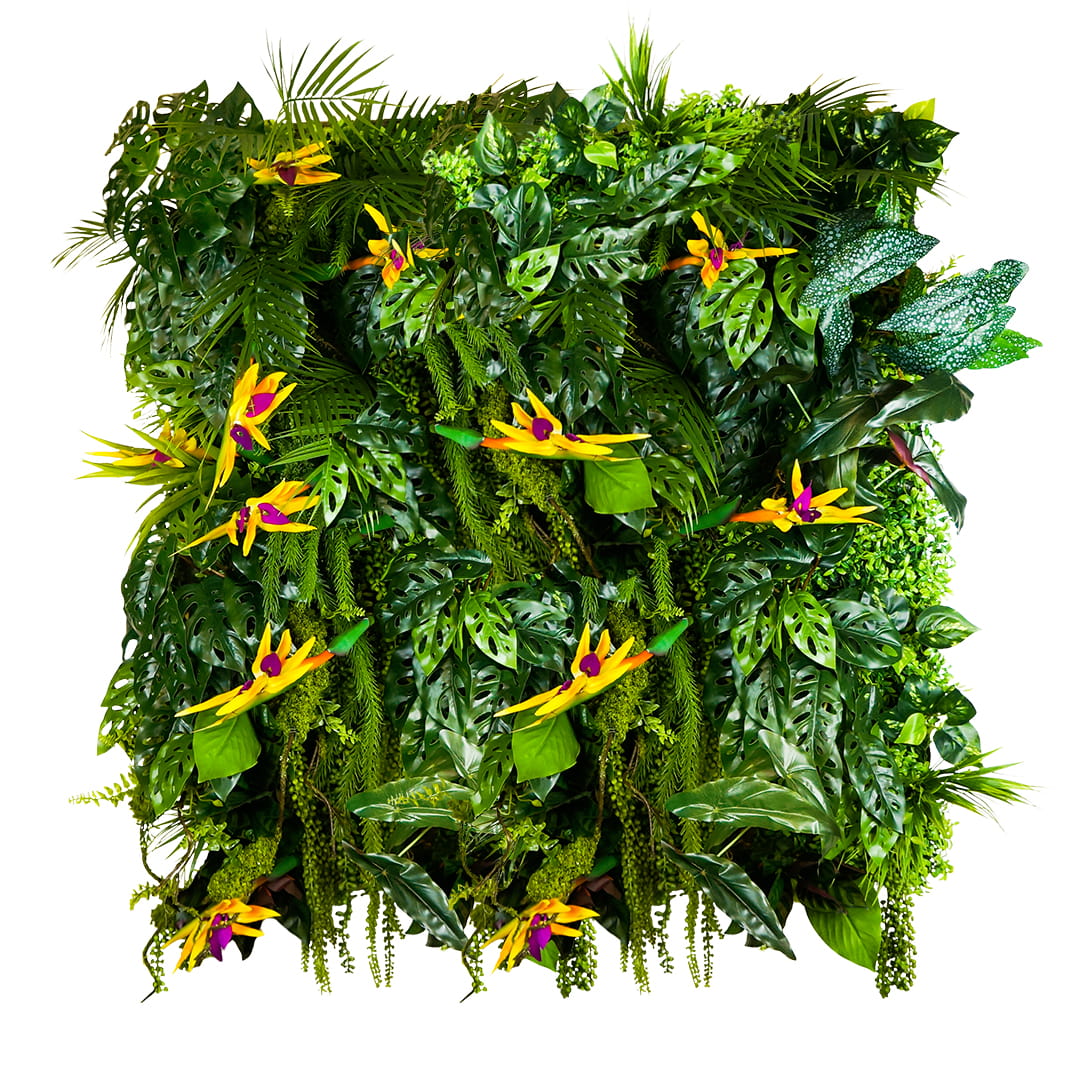 Jardin vertical Seychelles Sun – Green Designers