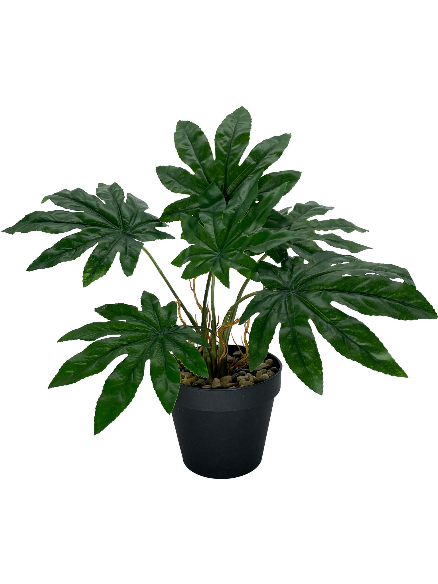 Plante Aralia artificielle 45 cm – Green Designers