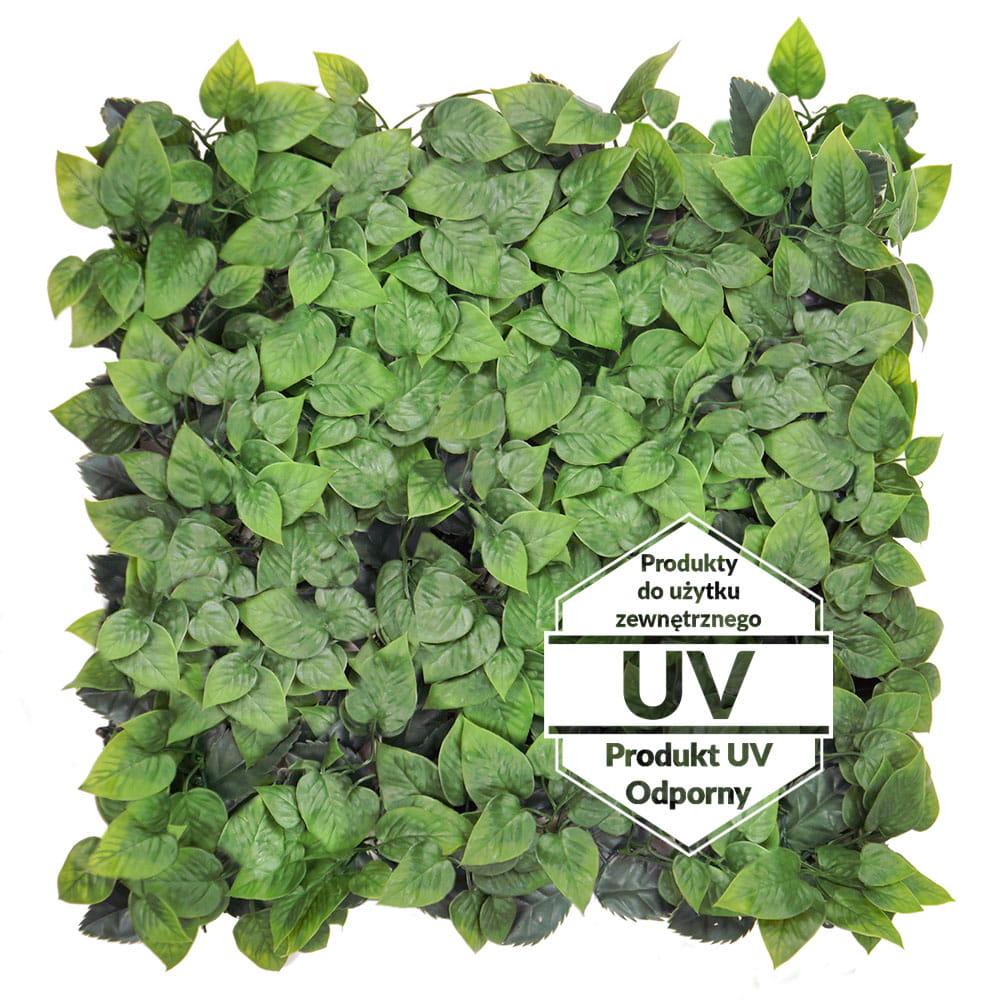 Tapis UV Lierre vert artificiel 50x50cm