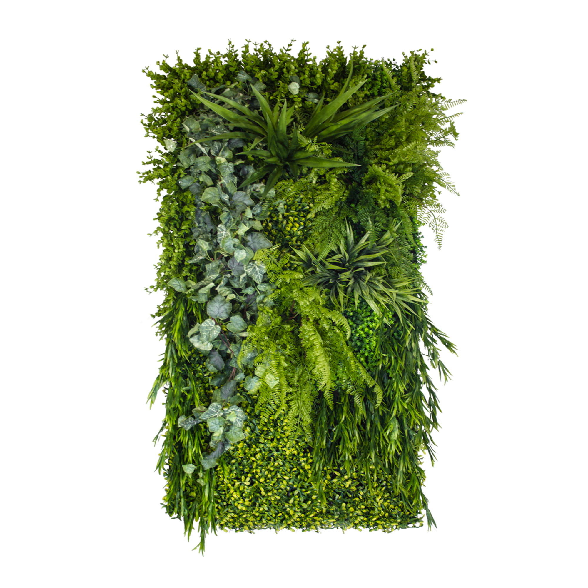 Jardin vertical alpin